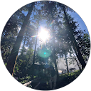 chiayin Lin profile picture