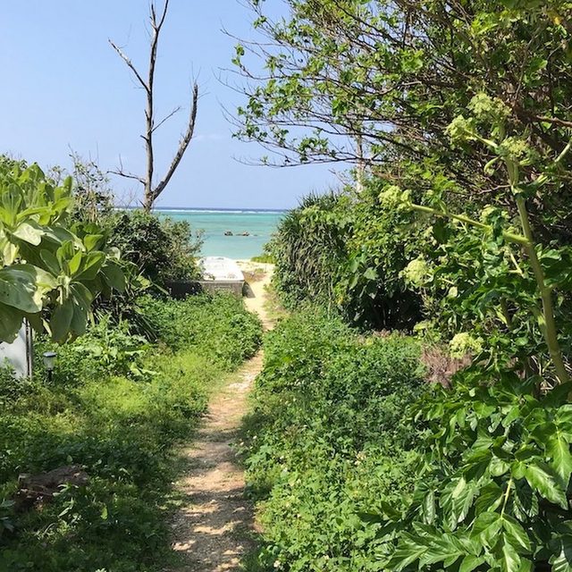 大人数での沖縄旅行、食事の準備って結構大変ですよね。でも、もし宿泊先から歩いて3分でこんな美しいビーチに行けて、釣った魚